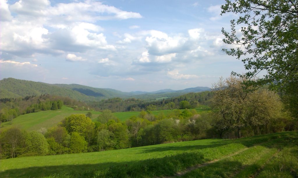 Dzikie Bieszczady: dolina Sanu – Hulskie, Krywe i Studenne